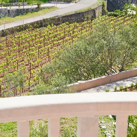 Mar Y Amore Apartamento Seget Vranjica